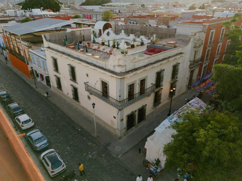 Gallery 11