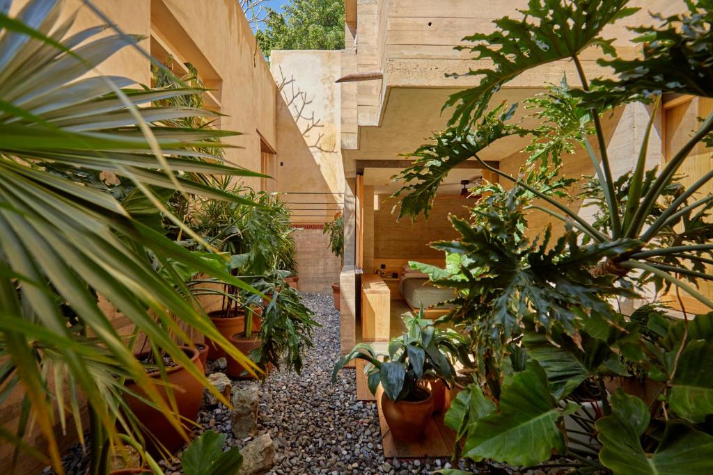 Gallery 5