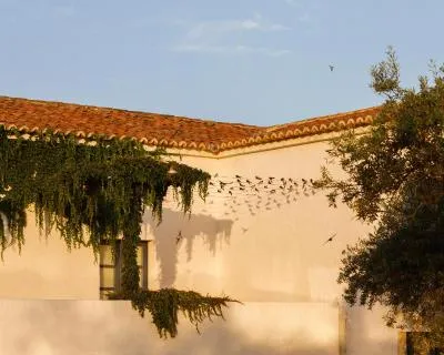 Galerie 11