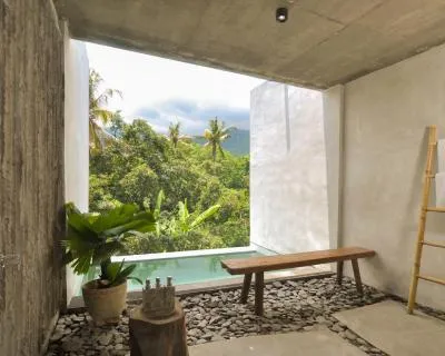 Gallery 11